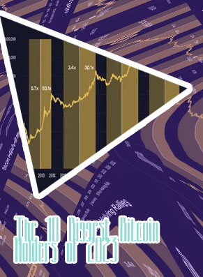 Bitcoin biggest holders